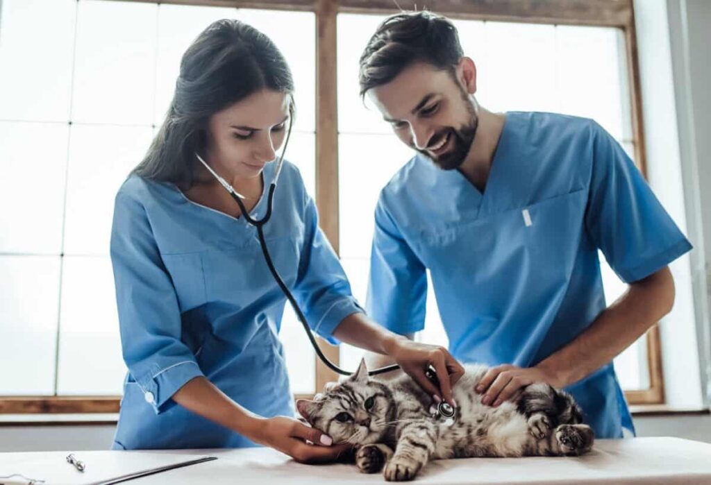 Students learning animal care and veterinary support skills through practical training at Apex Community College.
