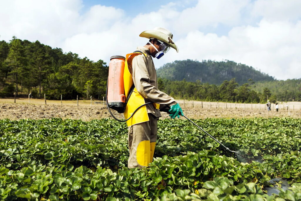 Students learning safe pesticide application methods and pest management practices through training at Apex Community College in Surrey, BC.